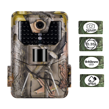 HD forest camera