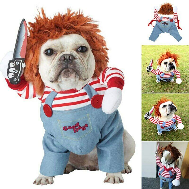 Halloween dog outfit