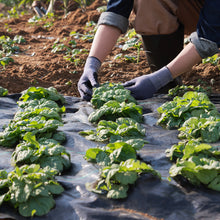 "Heavy-duty weed barrier landscape fabric for garden weed control"

