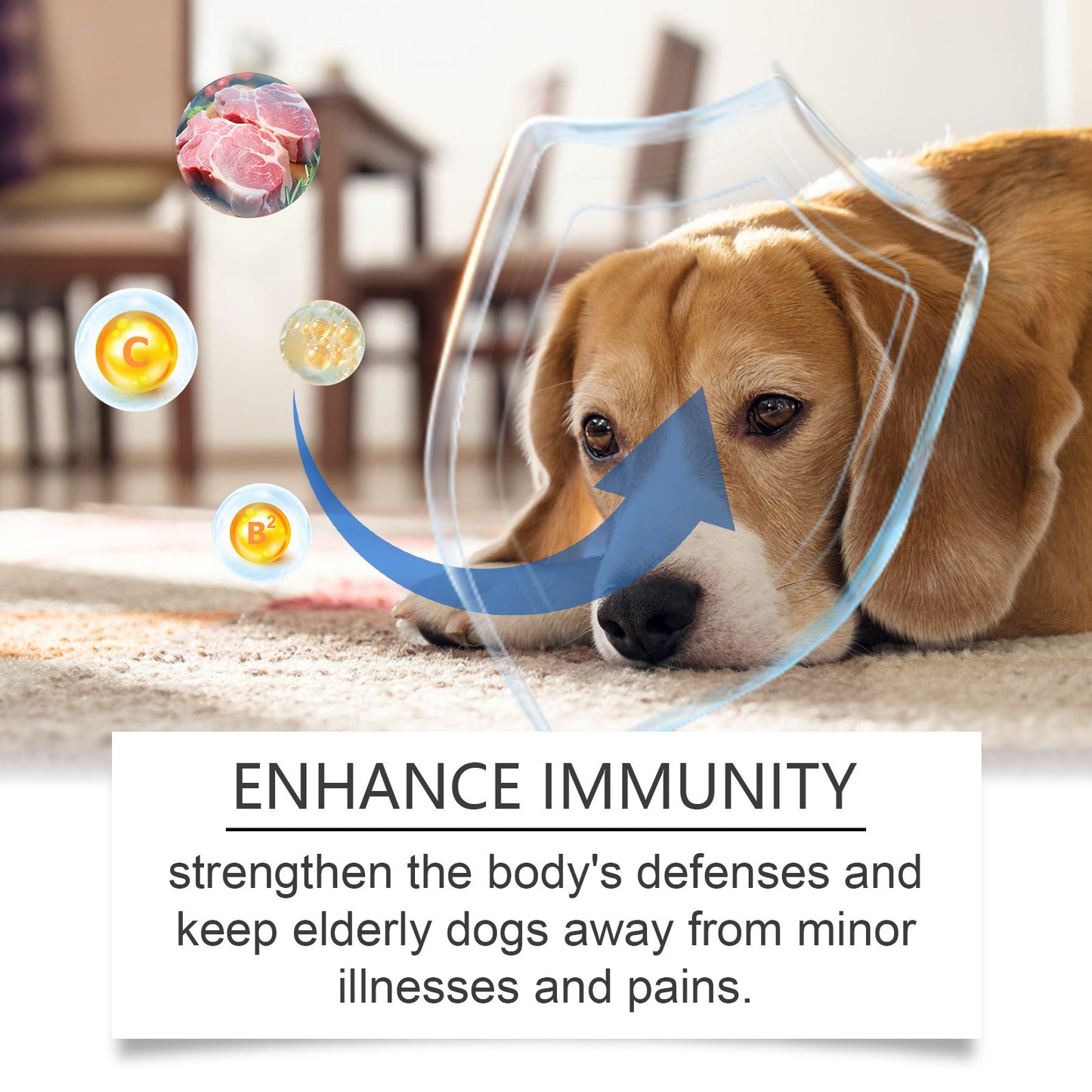 High-quality calcium tablets for older dogs to support bone strength and mobility

