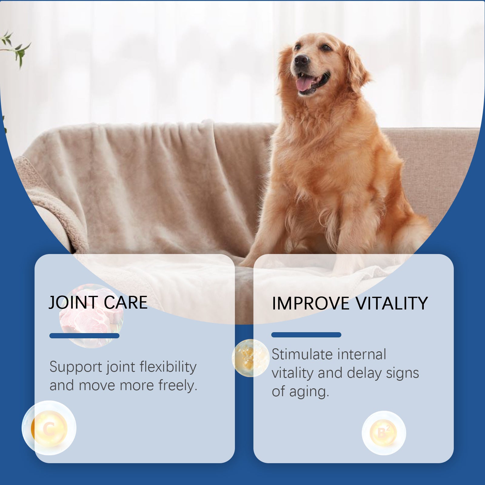 High-quality calcium tablets for older dogs to support bone strength and mobility


