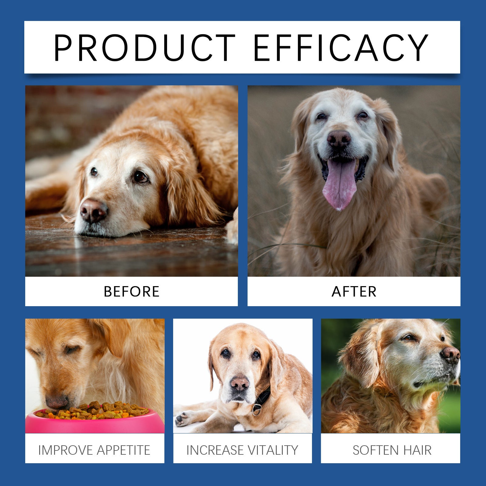High-quality calcium tablets for older dogs to support bone strength and mobility

