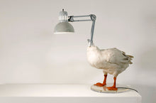 HimelPot holder lamp