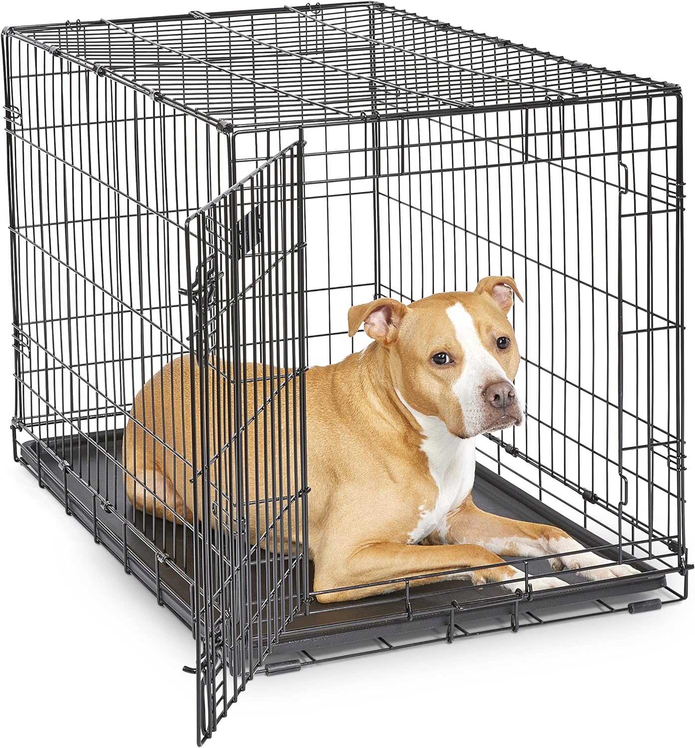 Homes for Pets