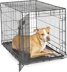 Homes for Pets