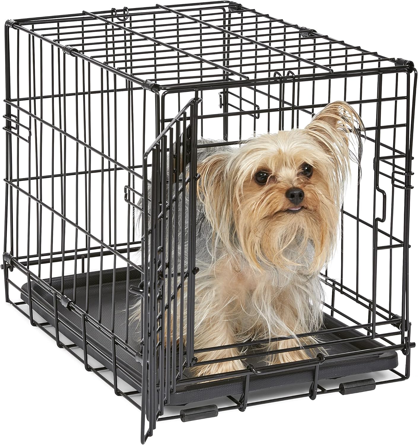 Homes for Pets