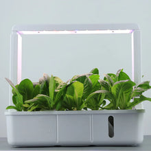 Hydroponics growing system LED indoor garden for efficient indoor plant growth

