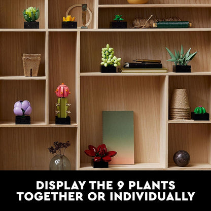 Icons Succulents Artificial Plant Set for Adults