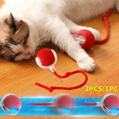 Interactive automatic pet ball toy rolling and entertaining a dog