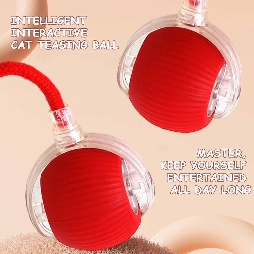 Interactive automatic pet ball toy rolling and entertaining a dog
