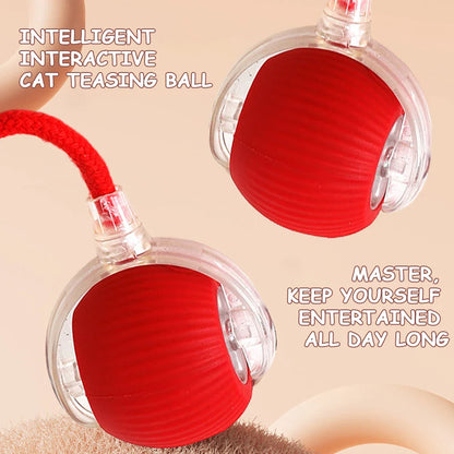Interactive automatic pet ball toy rolling and entertaining a dog