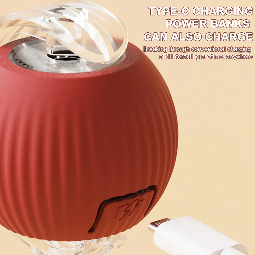 Interactive automatic pet ball toy rolling and entertaining a dog