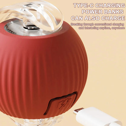 Interactive automatic pet ball toy rolling and entertaining a dog