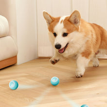Interactive cat toy ball for indoor cats providing fun and exercise