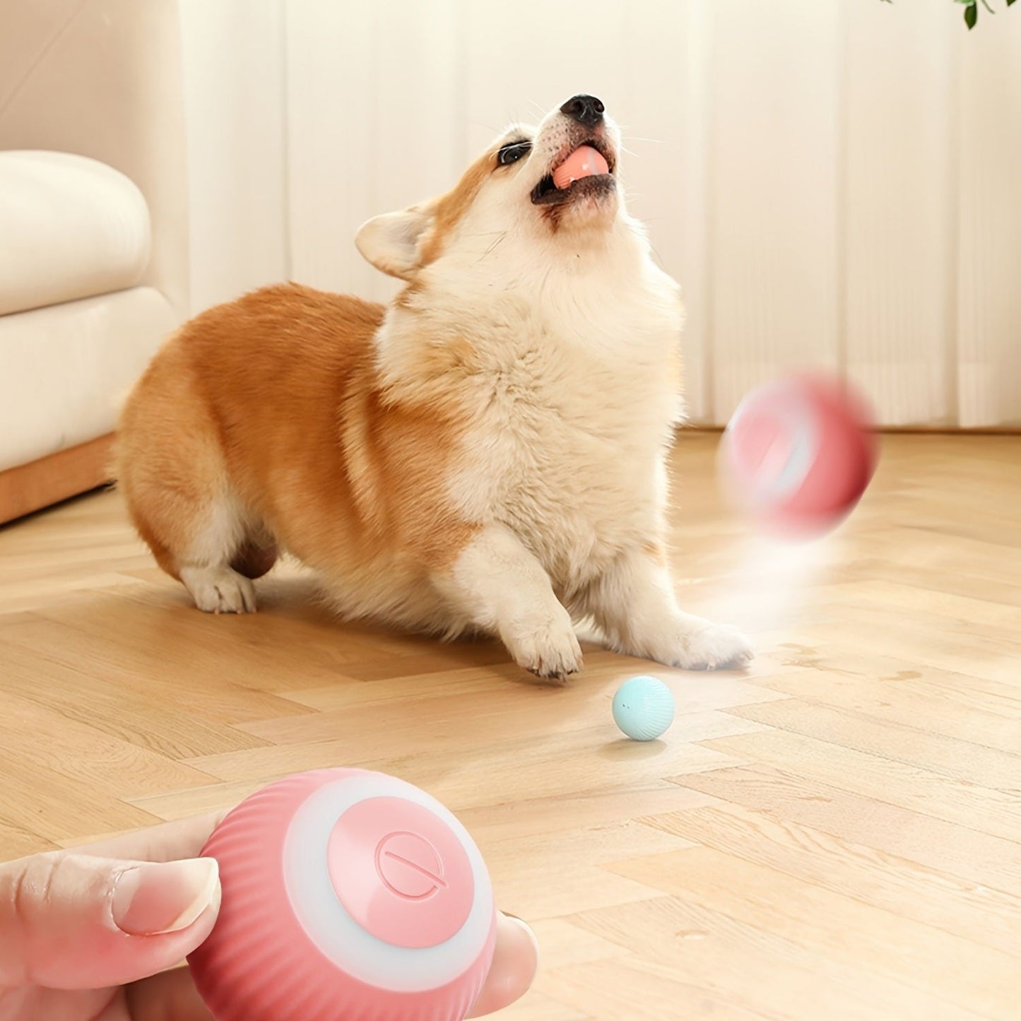 Interactive cat toy ball for indoor cats providing fun and exercise