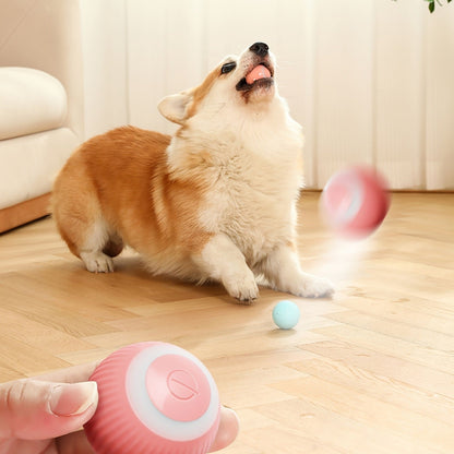 Interactive cat toy ball for indoor cats providing fun and exercise