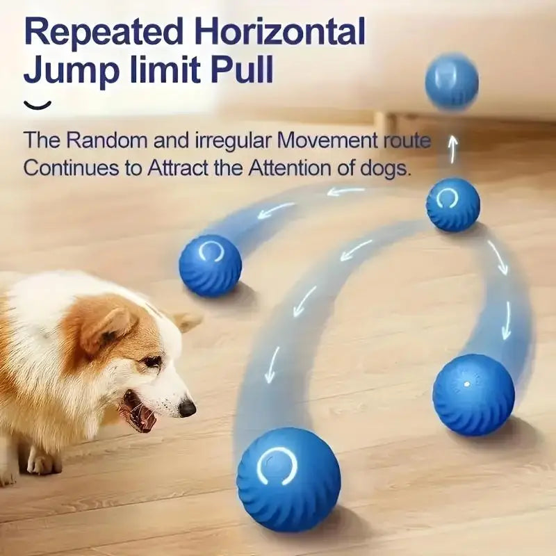 Interactive smart dog toy ball for active pet play and exercise