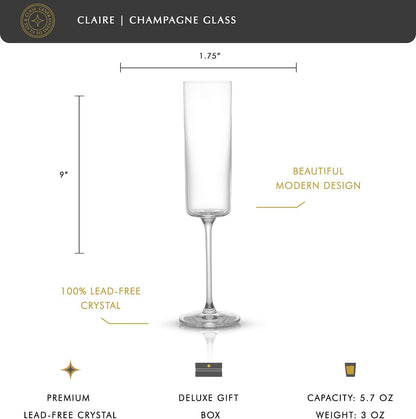 JoyJolt Champagne Flutes 