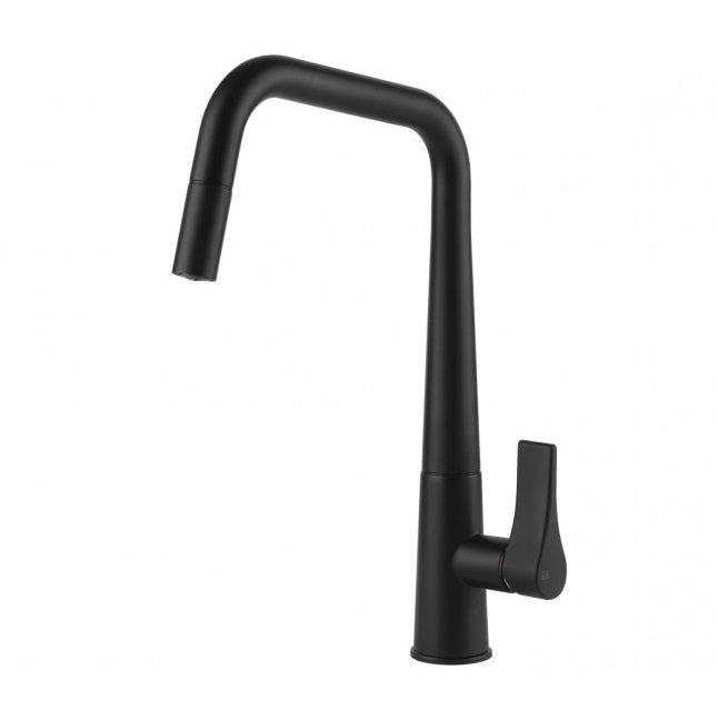 Kitchen Mixer Tap