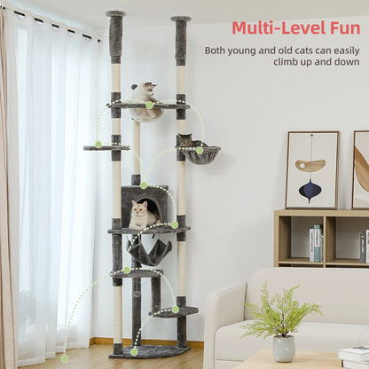 Kitten Furniture