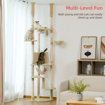 Kitten Furniture