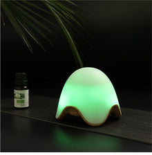 LED Diffuser Night Light