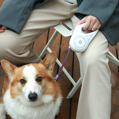 LED pet leash