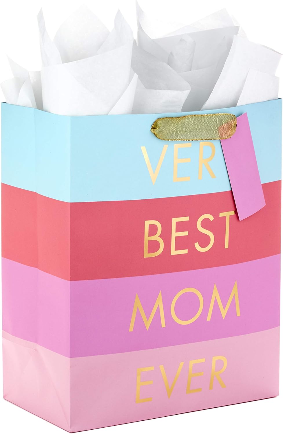 Large Gift Bag with Tissue Paper