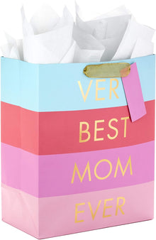 Large Gift Bag with Tissue Paper