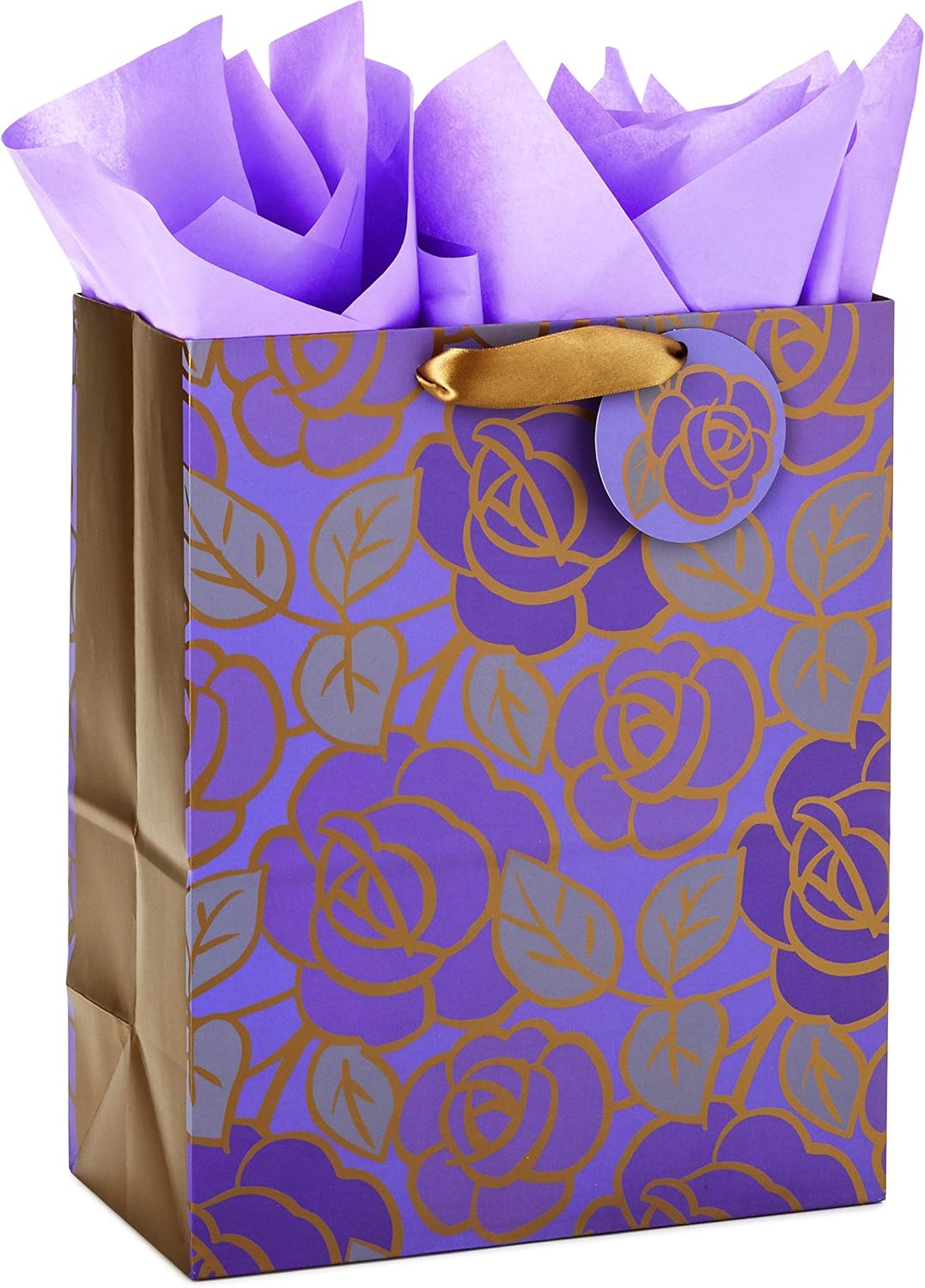 Large Gift Bag with Tissue Paper