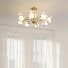 Luxury ceiling chandelier