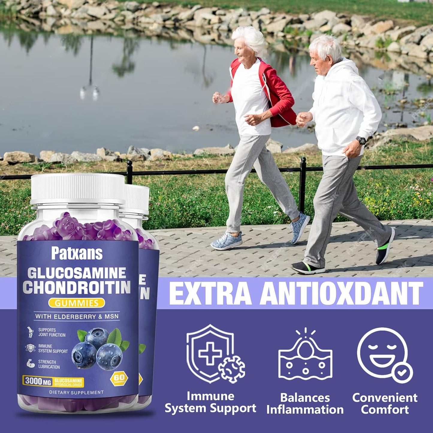 MSM Elderberry Natural Joint Support Supplement