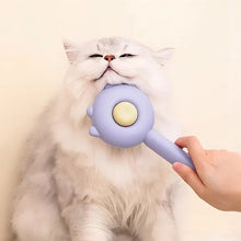 Magic massage pet comb for grooming and relaxing dogs and cats

