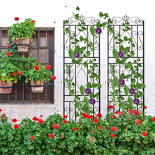 Metal garden trellis for climbing plants and decorative outdoor garden use