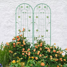 Metal garden trellis for climbing plants in outdoor garden setting