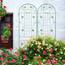 Metal garden trellis for climbing plants in outdoor garden setting
