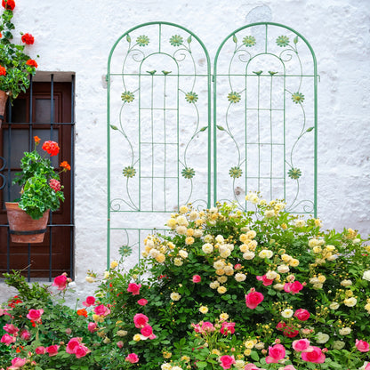 Metal garden trellis for climbing plants in outdoor garden setting