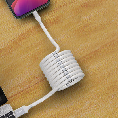 Magnetic 3in1 Charging Cable