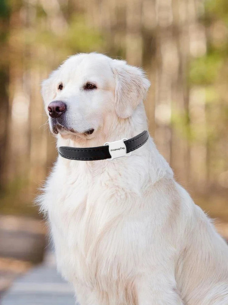 Mini pet GPS tracker for dogs and cats with real-time location tracking