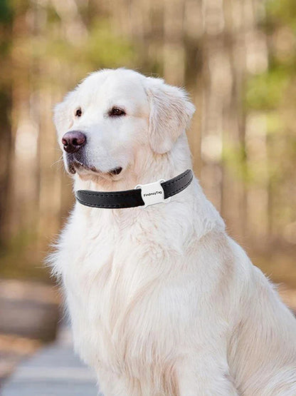 Mini pet GPS tracker for dogs and cats with real-time location tracking
