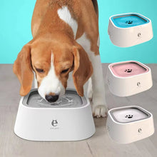 No spill pet water bowl for dogs and cats with anti-splash design