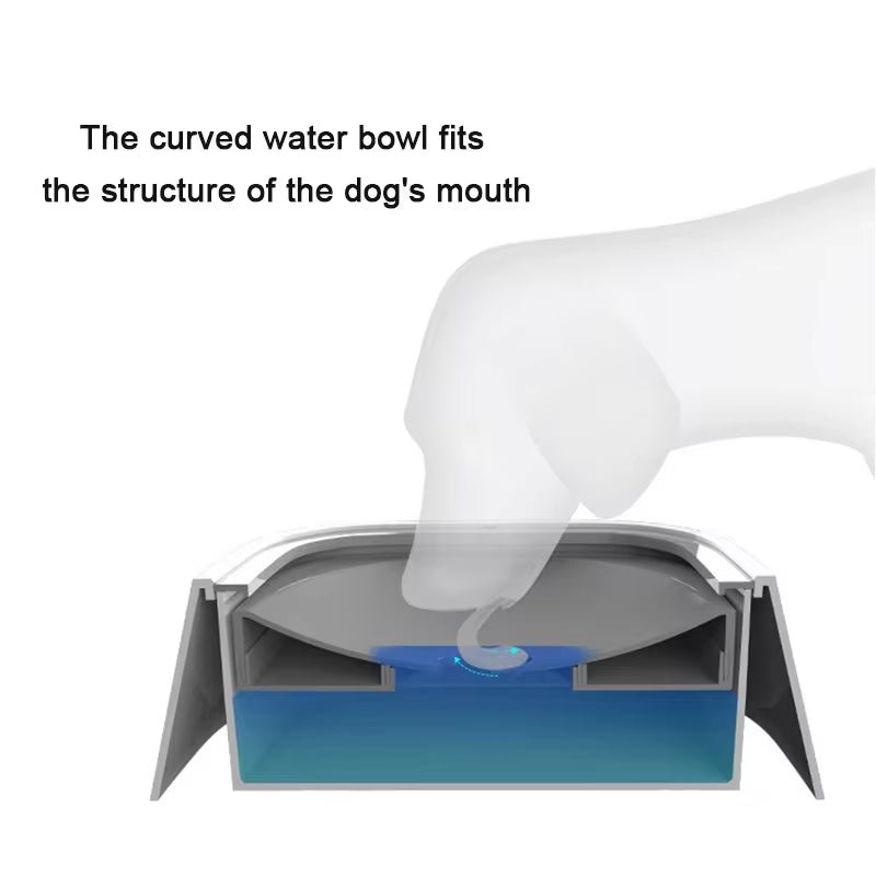 No spill pet water bowl for dogs and cats with anti-splash design