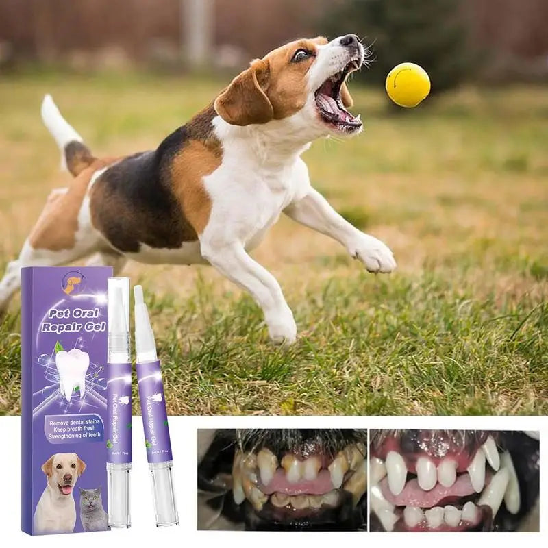 Oral Repair Gel