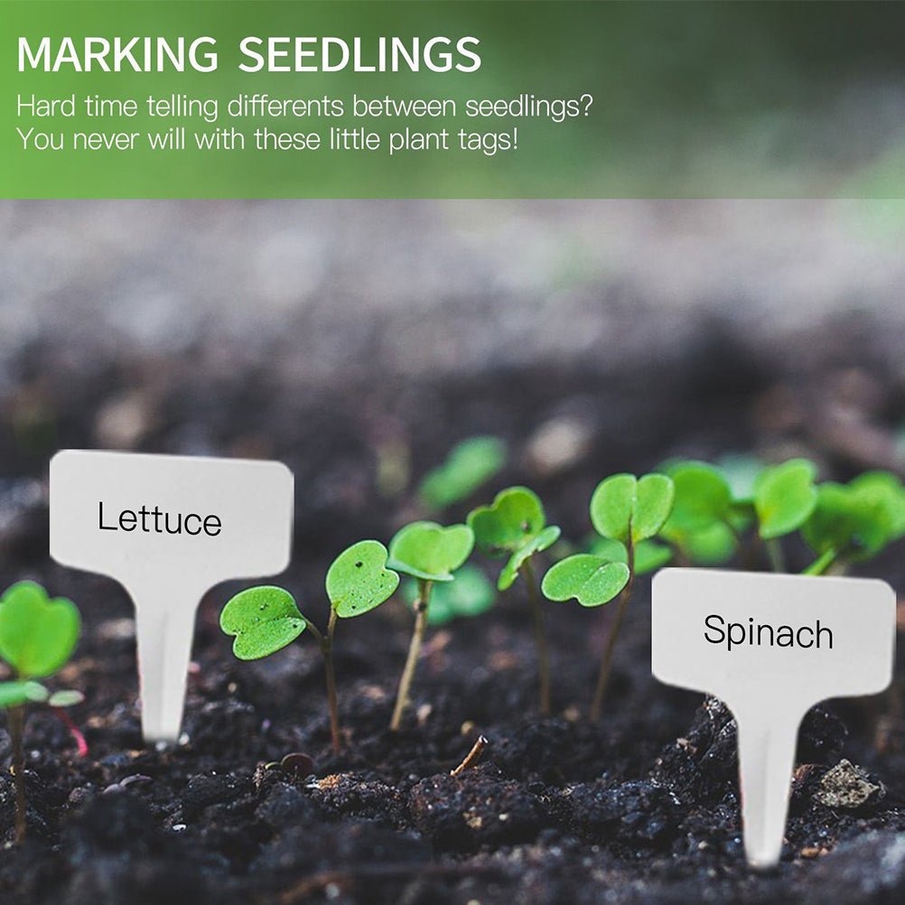 PVC garden labels for marking plants – waterproof and reusable tags