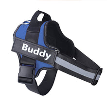 Personalized dog harness with adjustable straps and custom embroidery