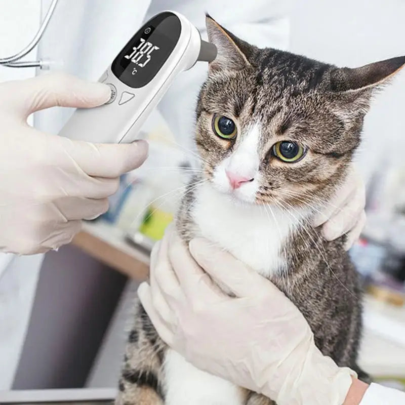 Pet Infrared Electronic Thermometer  