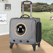 Pet Travel Carrier Trolley