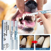 Pet toothbrush pen used to clean teeth of dogs and cats for oral hygiene