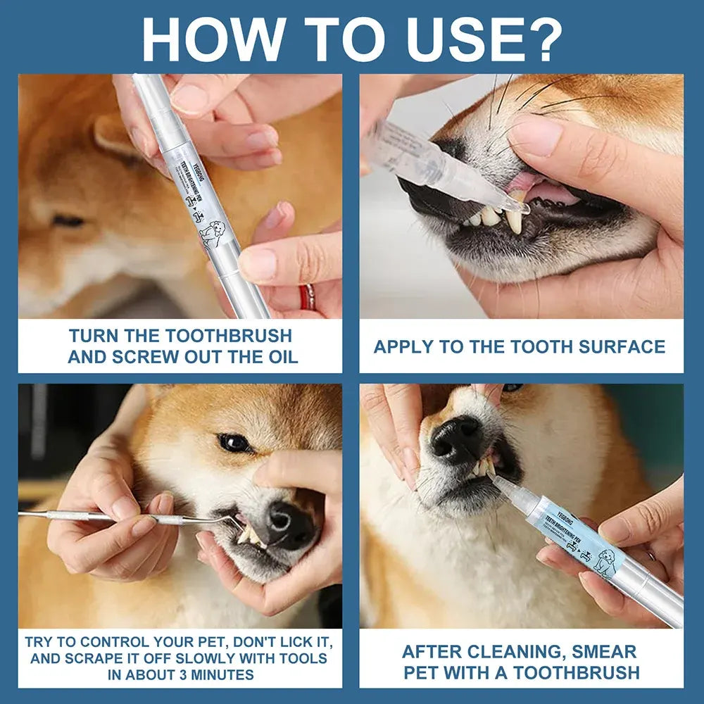 Pet toothbrush pen used to clean teeth of dogs and cats for oral hygiene