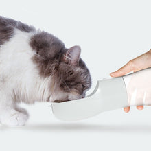 Portable dog water dispenser
